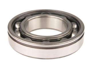Bearing 6406 N